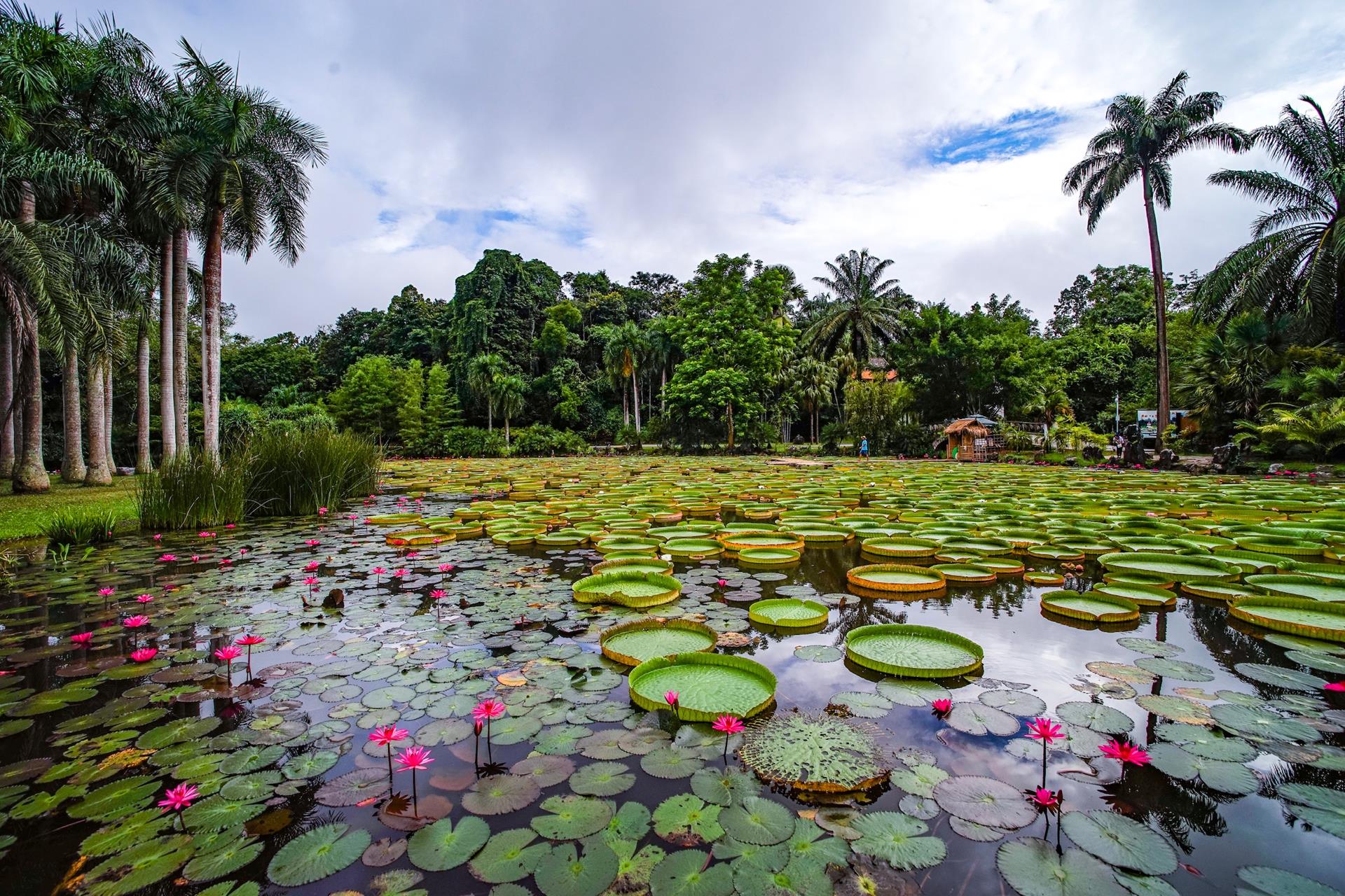 Xishuangbanna Dai Autonomous Prefecture Visit Colorful Yunnan Of China Xishuangbanna Dai Autonomous Prefecture Visit Colorful Yunnan Of China