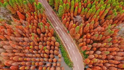 Serene waterwood forest at Laoyuhe Wetland Park in Kunming, Yunnan, China, with tranquil waterways reflecting lush greenery—a peaceful natural retreat for hiking and photography.