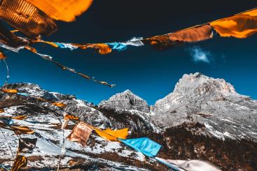 Bala_Gezong_04