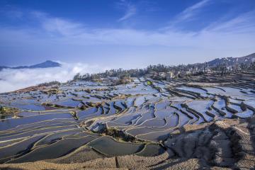 Blue_Rice_Terraces_Yunnan_China