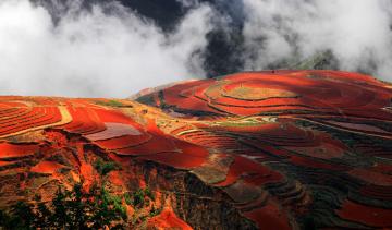 Dongchuan_Red_Land
