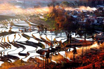 Hani_Rice_Terraces_Yunnan_China