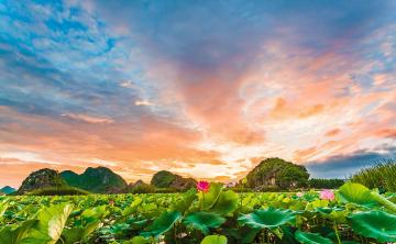 Puzhehei_Lotus