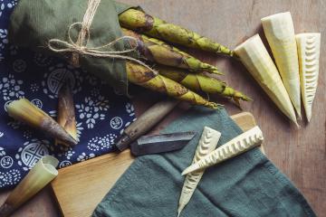 Bamboo shoot