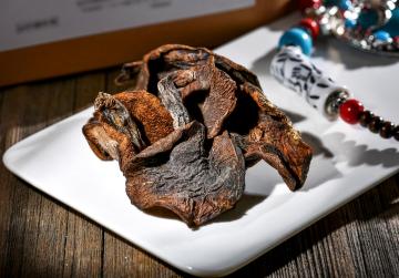 Boletus mushroom