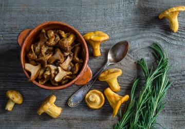 Chanterelle mushroom