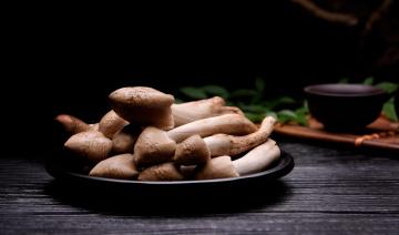 Jisong mushroom_01