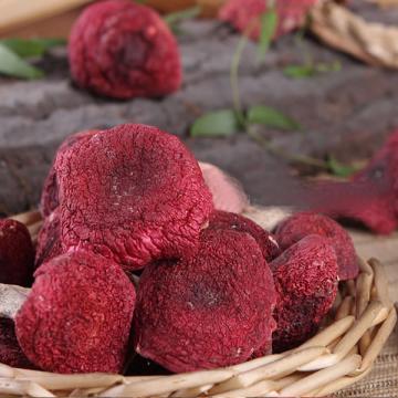 Red Fungus