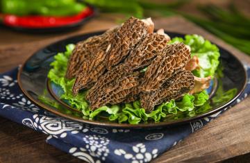 wild_mushroom_2