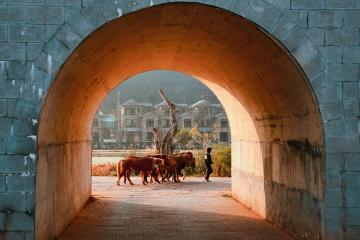 The_Ancient_Tea_Horse_Road_Culture_Nakeli_Yunnan_02
