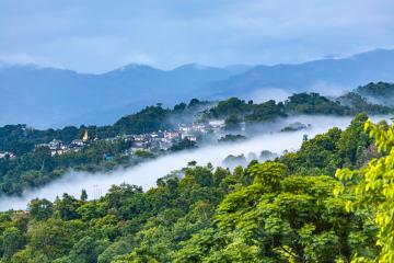 Jingmai_Mountain_Yunnan_04