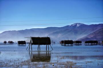 Napahai_Lake_03