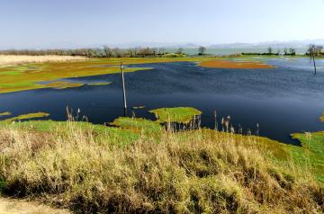 New_Huanhu_South_Road_04