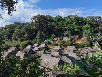 Jingmai_Mountain_Yunnan_China_03