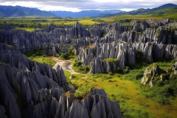 Stone_Forrest_Yunnan_China_03