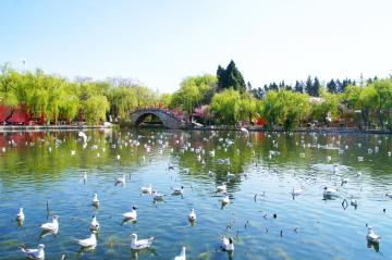 Daguanlou_Grand_View_Pavilion_yunnan_china