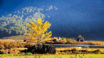 Ginkgo_Village_Tengchong_Yunnan_China_03