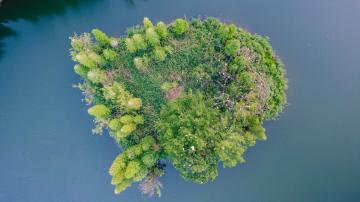 Haihong_Wetland_Park_kunming_yunnan_china