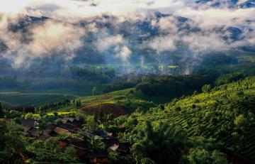 Jingmai_Mountain_Yunnan_China_02