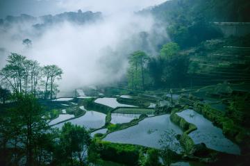 Yuanyang_Hani_Rice_Terraces_Yunnan_China